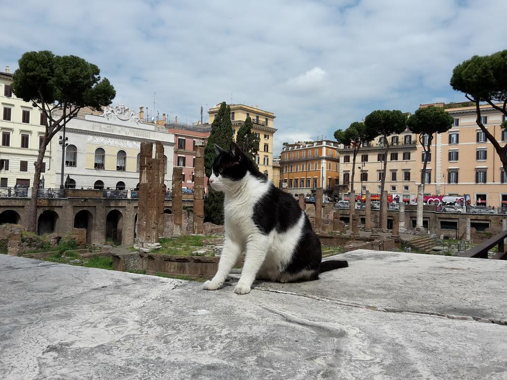 Suite Argentina Roma Dış mekan fotoğraf